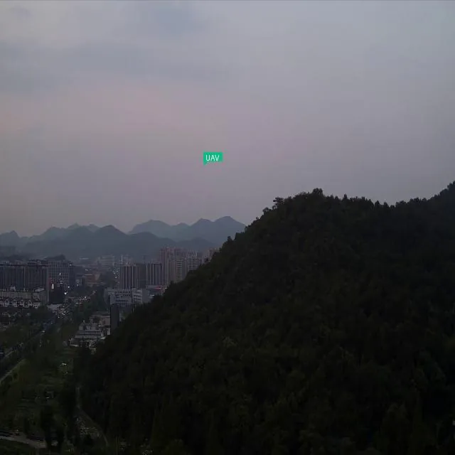 山地飞行检测